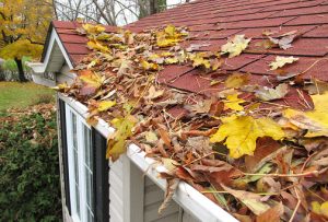 Roofing company installs new shingles