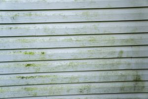 siding barrie